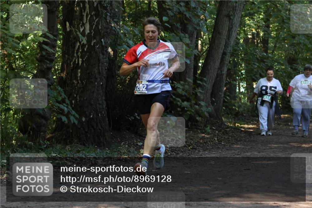 28.09.2025 - 33. Volkslauf durch das schöne Alstertal Strokosch-Dieckow http://msf.ph/oto/8969128 28.09.2025 11:21:43 Laufen 202, 85, 414, 4159 meine-sportfotos.de