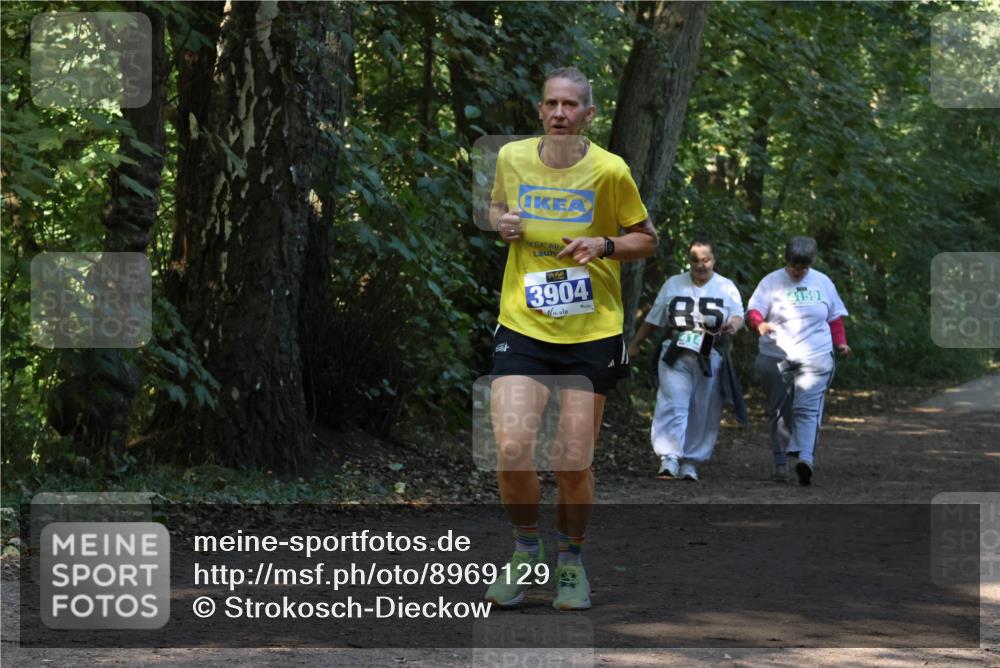 28.09.2025 - 33. Volkslauf durch das schöne Alstertal Strokosch-Dieckow http://msf.ph/oto/8969129 28.09.2025 11:21:46 Laufen 3904, 85, 4159 meine-sportfotos.de