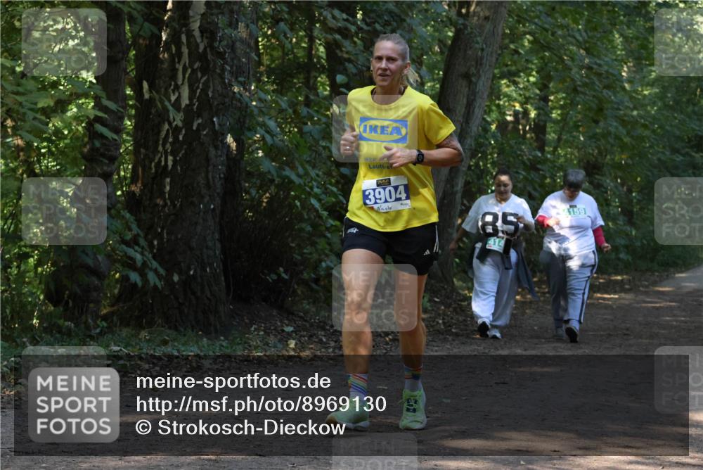 28.09.2025 - 33. Volkslauf durch das schöne Alstertal Strokosch-Dieckow http://msf.ph/oto/8969130 28.09.2025 11:21:46 Laufen 3904, 85, 4159, 414 meine-sportfotos.de