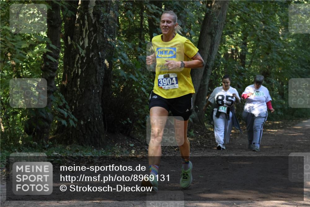 28.09.2025 - 33. Volkslauf durch das schöne Alstertal Strokosch-Dieckow http://msf.ph/oto/8969131 28.09.2025 11:21:47 Laufen 3904, 85, 414, 4159 meine-sportfotos.de