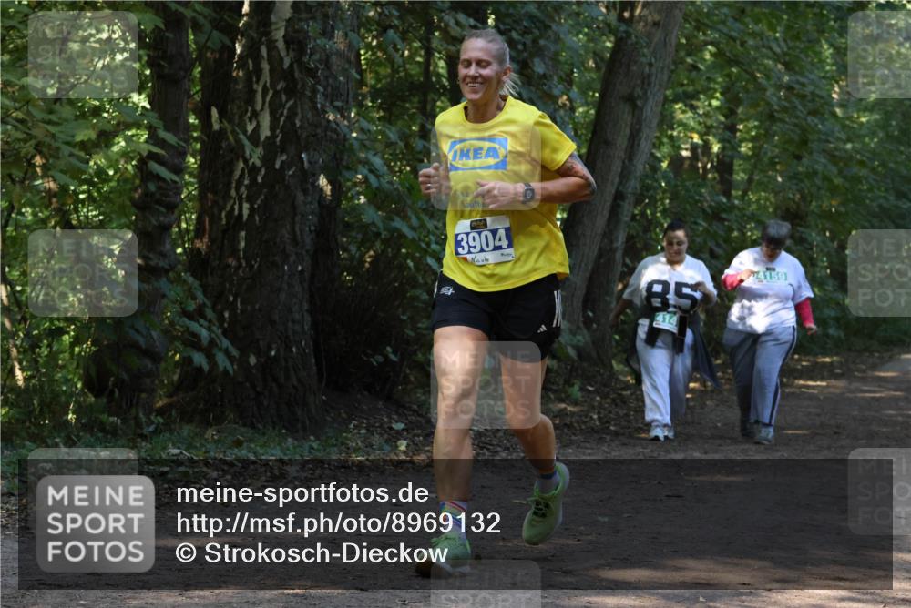 28.09.2025 - 33. Volkslauf durch das schöne Alstertal Strokosch-Dieckow http://msf.ph/oto/8969132 28.09.2025 11:21:47 Laufen 3904, 85, 414, 4159 meine-sportfotos.de
