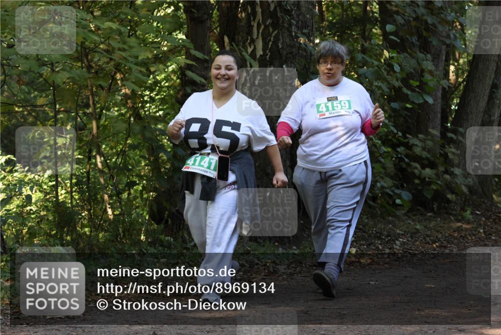 28.09.2025 - 33. Volkslauf durch das schöne Alstertal Strokosch-Dieckow http://msf.ph/oto/8969134 28.09.2025 11:21:54 Laufen 85, 4141, 1980, 4159 meine-sportfotos.de