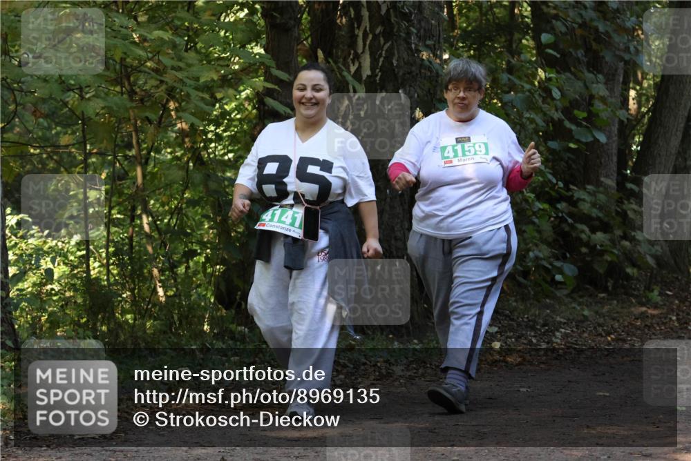 28.09.2025 - 33. Volkslauf durch das schöne Alstertal Strokosch-Dieckow http://msf.ph/oto/8969135 28.09.2025 11:21:54 Laufen 85, 4141, 4159, 198 meine-sportfotos.de