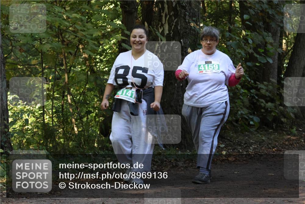 28.09.2025 - 33. Volkslauf durch das schöne Alstertal Strokosch-Dieckow http://msf.ph/oto/8969136 28.09.2025 11:21:54 Laufen 85, 4141, 4159 meine-sportfotos.de