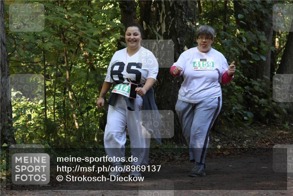 28.09.2025 - 33. Volkslauf durch das schöne Alstertal Strokosch-Dieckow http://msf.ph/oto/8969137 28.09.2025 11:21:54 Laufen 85, 414, 4159 meine-sportfotos.de
