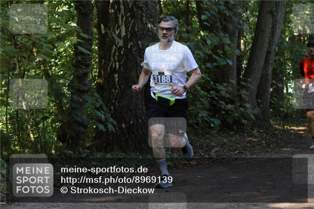 28.09.2025 - 33. Volkslauf durch das schöne Alstertal Strokosch-Dieckow http://msf.ph/oto/8969139 28.09.2025 11:22:02 Laufen 3188 meine-sportfotos.de