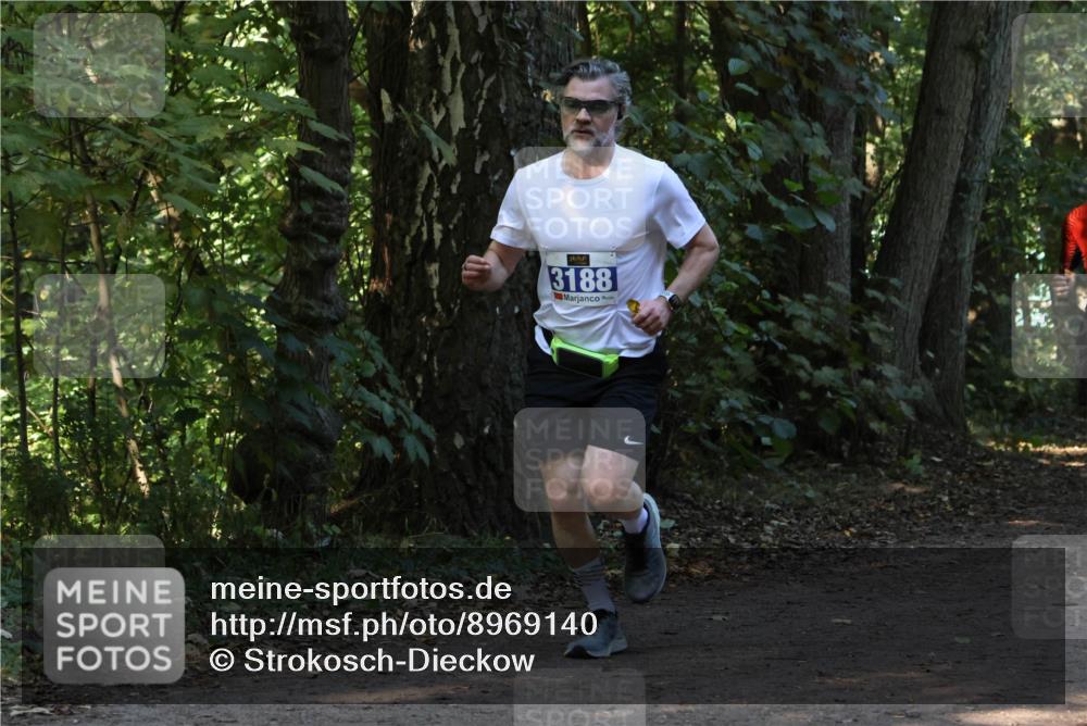 28.09.2025 - 33. Volkslauf durch das schöne Alstertal Strokosch-Dieckow http://msf.ph/oto/8969140 28.09.2025 11:22:02 Laufen 3188 meine-sportfotos.de