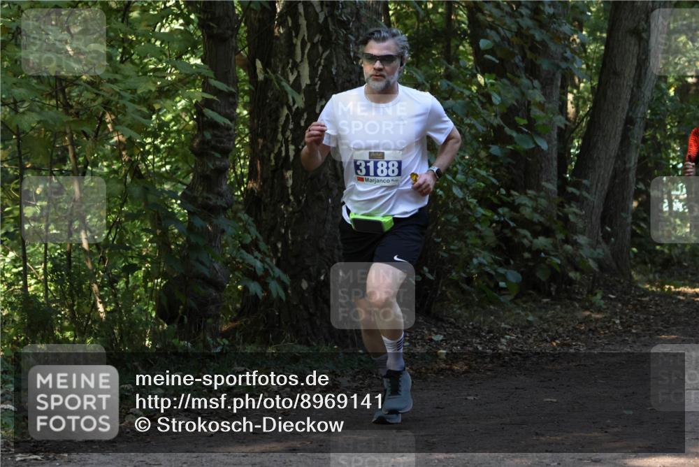 28.09.2025 - 33. Volkslauf durch das schöne Alstertal Strokosch-Dieckow http://msf.ph/oto/8969141 28.09.2025 11:22:02 Laufen 3188 meine-sportfotos.de
