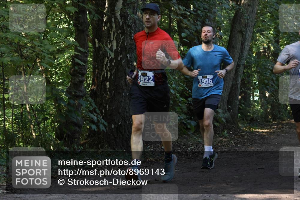 28.09.2025 - 33. Volkslauf durch das schöne Alstertal Strokosch-Dieckow http://msf.ph/oto/8969143 28.09.2025 11:22:05 Laufen 3922, 3956 meine-sportfotos.de