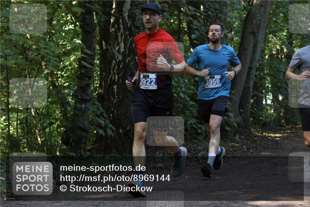 28.09.2025 - 33. Volkslauf durch das schöne Alstertal Strokosch-Dieckow http://msf.ph/oto/8969144 28.09.2025 11:22:05 Laufen 3922, 3956 meine-sportfotos.de