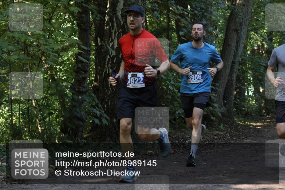 28.09.2025 - 33. Volkslauf durch das schöne Alstertal Strokosch-Dieckow http://msf.ph/oto/8969145 28.09.2025 11:22:05 Laufen 20, 3922, 3956 meine-sportfotos.de