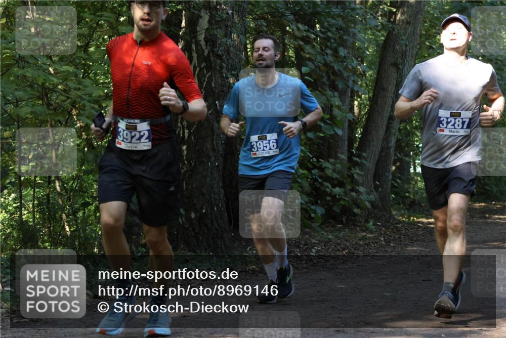 28.09.2025 - 33. Volkslauf durch das schöne Alstertal Strokosch-Dieckow http://msf.ph/oto/8969146 28.09.2025 11:22:06 Laufen 3922, 3956, 3287 meine-sportfotos.de