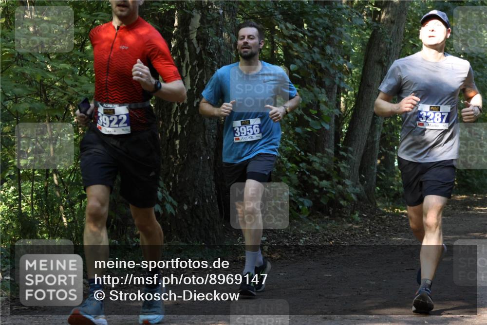 28.09.2025 - 33. Volkslauf durch das schöne Alstertal Strokosch-Dieckow http://msf.ph/oto/8969147 28.09.2025 11:22:06 Laufen 922, 3956, 3287 meine-sportfotos.de