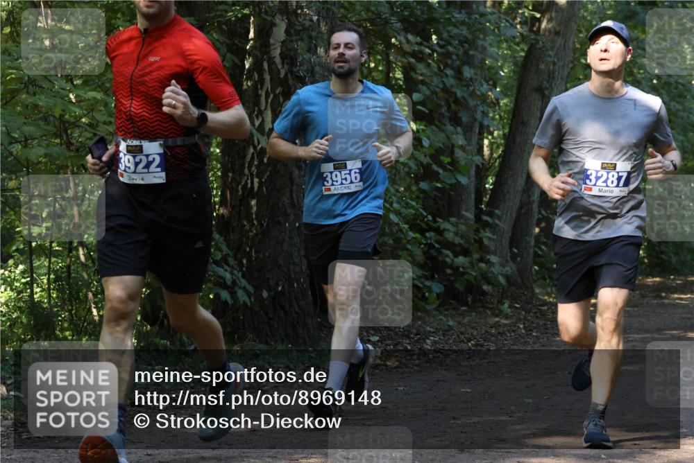 28.09.2025 - 33. Volkslauf durch das schöne Alstertal Strokosch-Dieckow http://msf.ph/oto/8969148 28.09.2025 11:22:06 Laufen 3922, 3956, 3287, 1 meine-sportfotos.de
