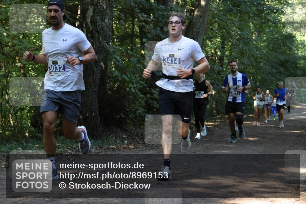 28.09.2025 - 33. Volkslauf durch das schöne Alstertal Strokosch-Dieckow http://msf.ph/oto/8969153 28.09.2025 11:22:16 Laufen 3032, 3414, 24, 4307 meine-sportfotos.de