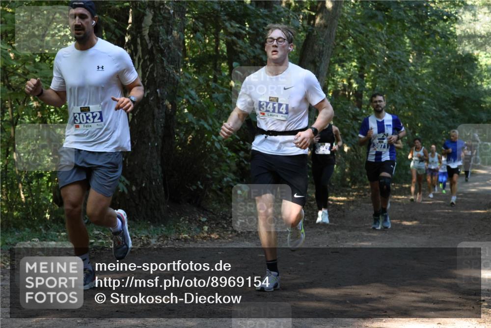 28.09.2025 - 33. Volkslauf durch das schöne Alstertal Strokosch-Dieckow http://msf.ph/oto/8969154 28.09.2025 11:22:16 Laufen 3032, 3414, 3071 meine-sportfotos.de