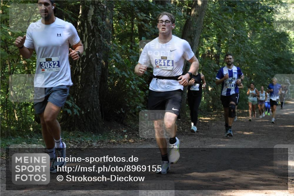 28.09.2025 - 33. Volkslauf durch das schöne Alstertal Strokosch-Dieckow http://msf.ph/oto/8969155 28.09.2025 11:22:16 Laufen 3032, 3414, 24, 3071 meine-sportfotos.de