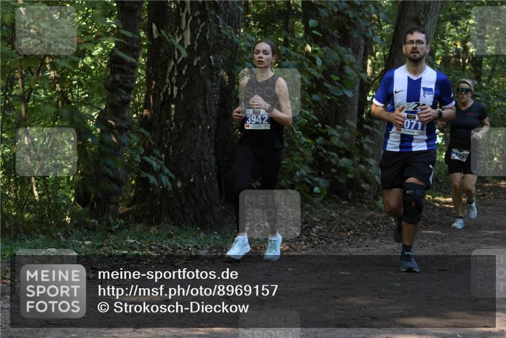 28.09.2025 - 33. Volkslauf durch das schöne Alstertal Strokosch-Dieckow http://msf.ph/oto/8969157 28.09.2025 11:22:18 Laufen 3942, 071 meine-sportfotos.de