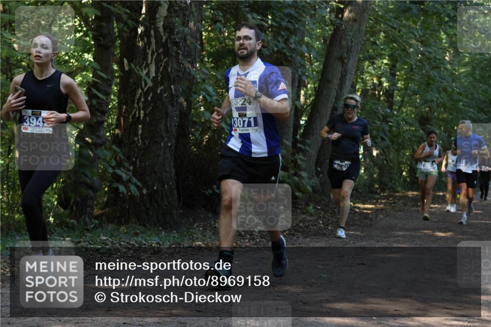 28.09.2025 - 33. Volkslauf durch das schöne Alstertal Strokosch-Dieckow http://msf.ph/oto/8969158 28.09.2025 11:22:19 Laufen 394, 24, 3071 meine-sportfotos.de