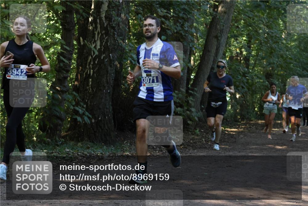 28.09.2025 - 33. Volkslauf durch das schöne Alstertal Strokosch-Dieckow http://msf.ph/oto/8969159 28.09.2025 11:22:19 Laufen 3942, 3071 meine-sportfotos.de