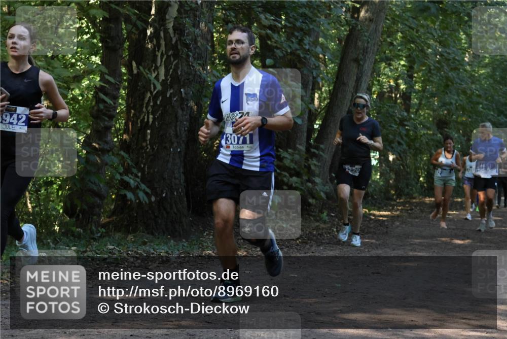 28.09.2025 - 33. Volkslauf durch das schöne Alstertal Strokosch-Dieckow http://msf.ph/oto/8969160 28.09.2025 11:22:19 Laufen 942, 3071 meine-sportfotos.de