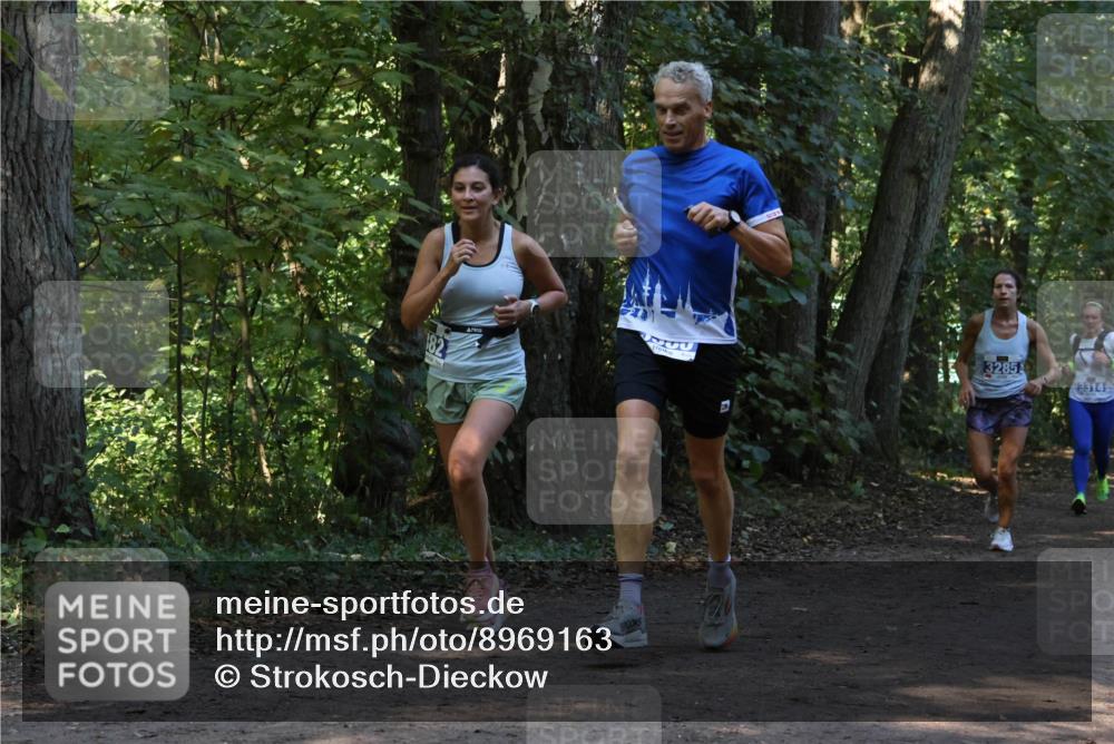 28.09.2025 - 33. Volkslauf durch das schöne Alstertal Strokosch-Dieckow http://msf.ph/oto/8969163 28.09.2025 11:22:24 Laufen 3285, 3314 meine-sportfotos.de
