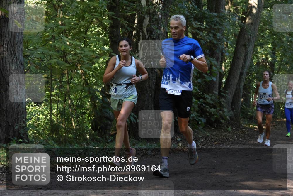 28.09.2025 - 33. Volkslauf durch das schöne Alstertal Strokosch-Dieckow http://msf.ph/oto/8969164 28.09.2025 11:22:24 Laufen 82, 500, 3285, 3314 meine-sportfotos.de