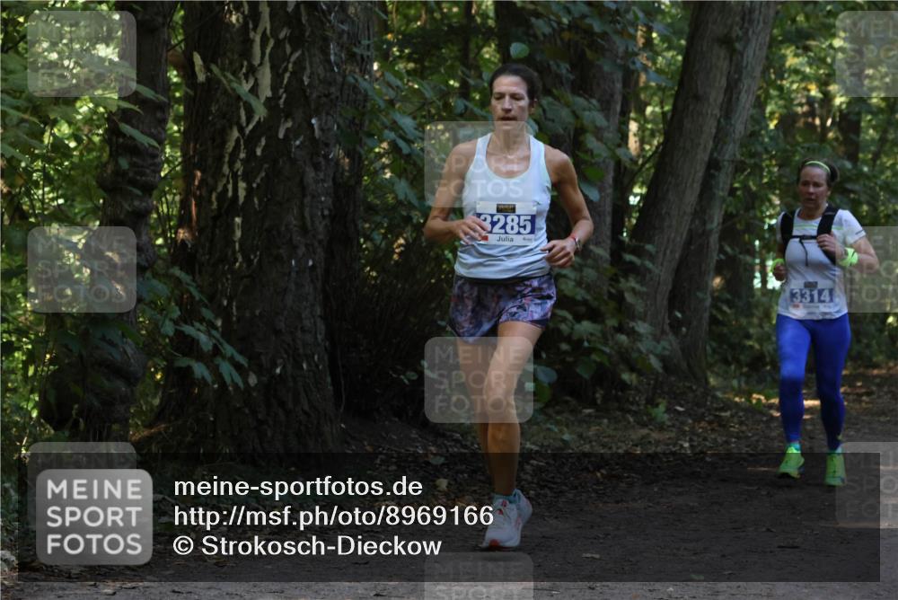 28.09.2025 - 33. Volkslauf durch das schöne Alstertal Strokosch-Dieckow http://msf.ph/oto/8969166 28.09.2025 11:22:26 Laufen 3285, 3314 meine-sportfotos.de