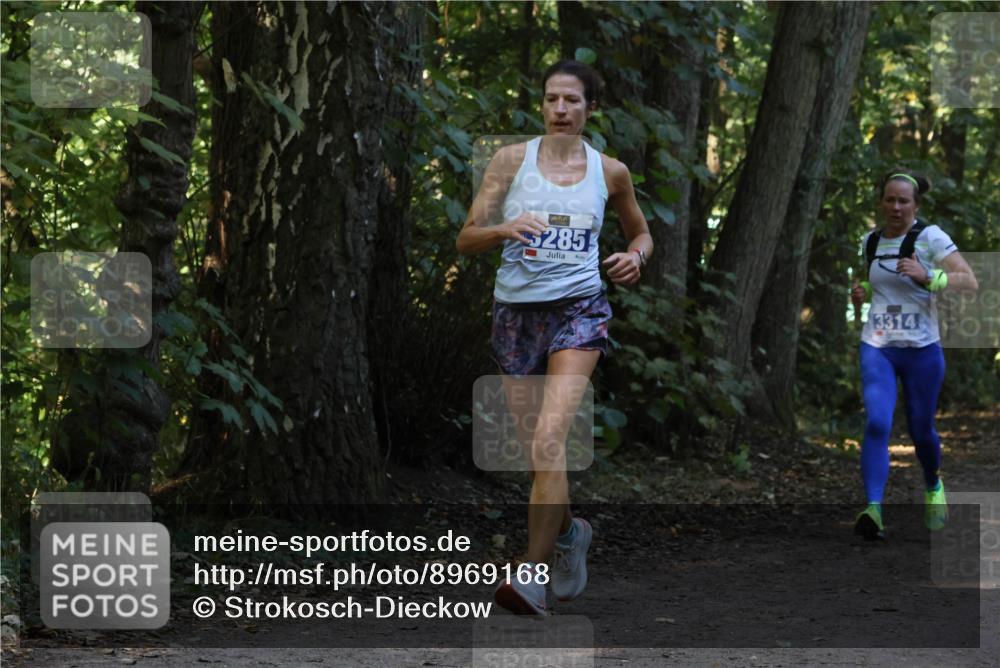 28.09.2025 - 33. Volkslauf durch das schöne Alstertal Strokosch-Dieckow http://msf.ph/oto/8969168 28.09.2025 11:22:26 Laufen 5285, 3314 meine-sportfotos.de