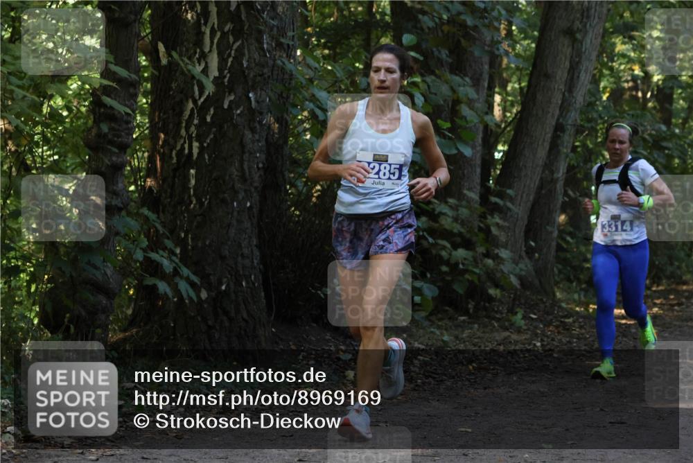 28.09.2025 - 33. Volkslauf durch das schöne Alstertal Strokosch-Dieckow http://msf.ph/oto/8969169 28.09.2025 11:22:26 Laufen 285, 3314 meine-sportfotos.de