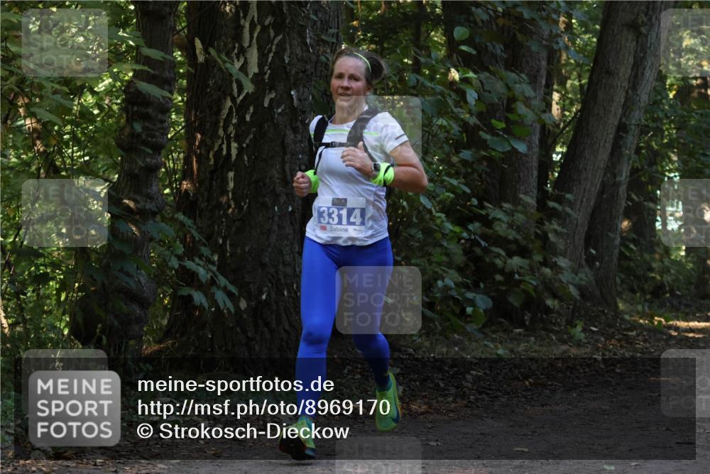 28.09.2025 - 33. Volkslauf durch das schöne Alstertal Strokosch-Dieckow http://msf.ph/oto/8969170 28.09.2025 11:22:28 Laufen 3314 meine-sportfotos.de