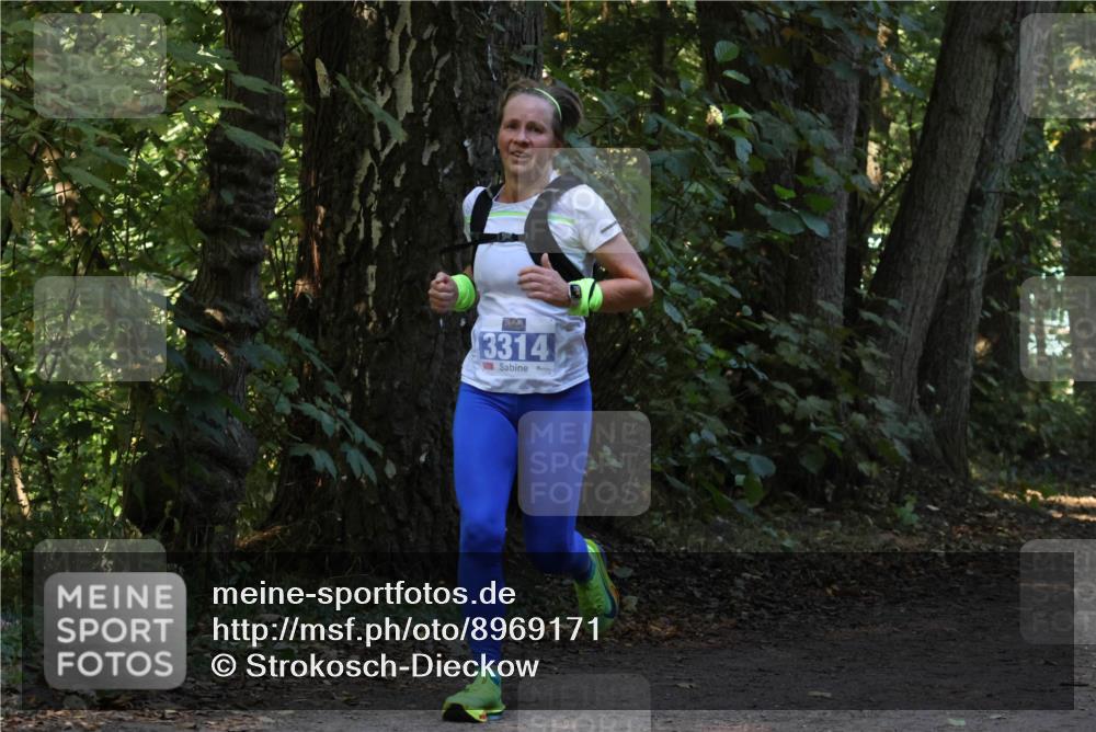 28.09.2025 - 33. Volkslauf durch das schöne Alstertal Strokosch-Dieckow http://msf.ph/oto/8969171 28.09.2025 11:22:28 Laufen 3314 meine-sportfotos.de