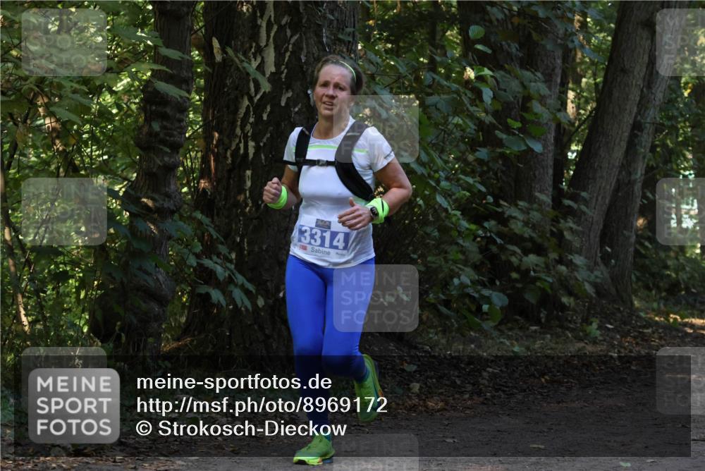 28.09.2025 - 33. Volkslauf durch das schöne Alstertal Strokosch-Dieckow http://msf.ph/oto/8969172 28.09.2025 11:22:28 Laufen 3314 meine-sportfotos.de
