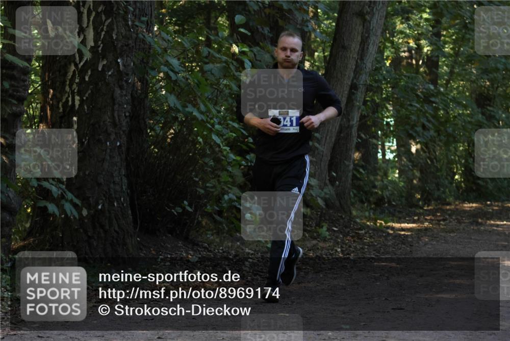 28.09.2025 - 33. Volkslauf durch das schöne Alstertal Strokosch-Dieckow http://msf.ph/oto/8969174 28.09.2025 11:22:32 Laufen 41 meine-sportfotos.de