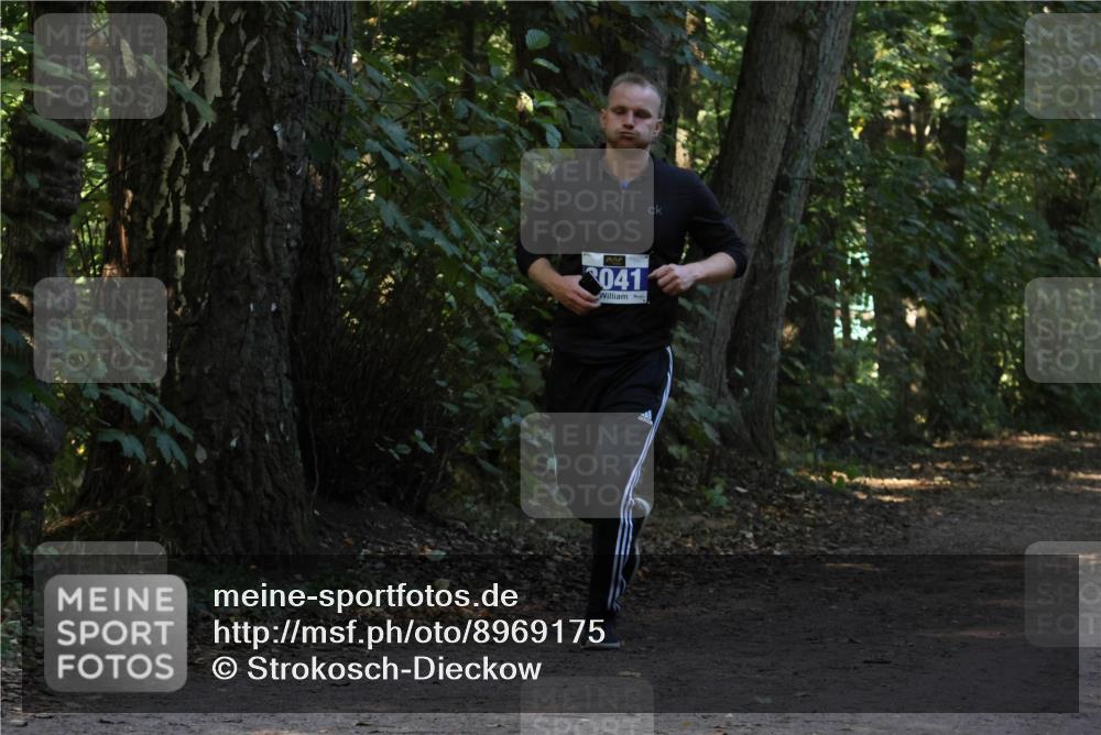 28.09.2025 - 33. Volkslauf durch das schöne Alstertal Strokosch-Dieckow http://msf.ph/oto/8969175 28.09.2025 11:22:32 Laufen 041 meine-sportfotos.de