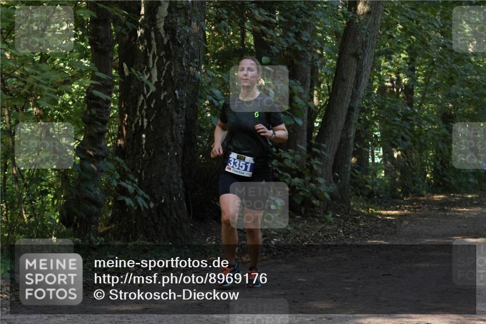 28.09.2025 - 33. Volkslauf durch das schöne Alstertal Strokosch-Dieckow http://msf.ph/oto/8969176 28.09.2025 11:22:49 Laufen 3351 meine-sportfotos.de