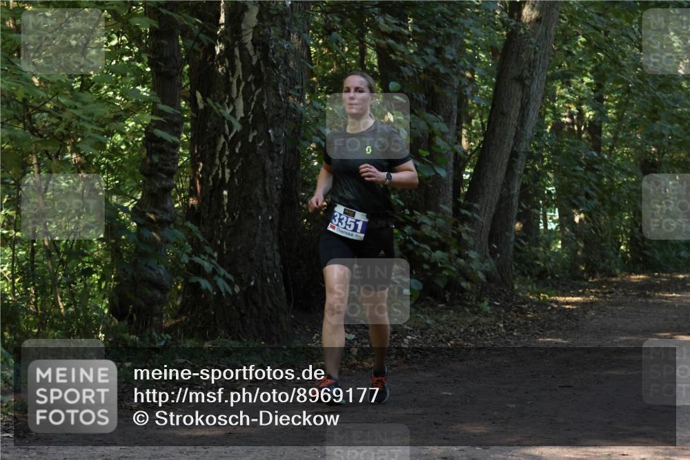 28.09.2025 - 33. Volkslauf durch das schöne Alstertal Strokosch-Dieckow http://msf.ph/oto/8969177 28.09.2025 11:22:49 Laufen 3351 meine-sportfotos.de