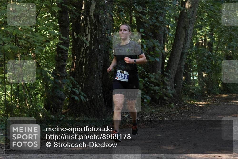 28.09.2025 - 33. Volkslauf durch das schöne Alstertal Strokosch-Dieckow http://msf.ph/oto/8969178 28.09.2025 11:22:49 Laufen 3351 meine-sportfotos.de