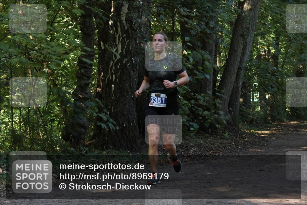 28.09.2025 - 33. Volkslauf durch das schöne Alstertal Strokosch-Dieckow http://msf.ph/oto/8969179 28.09.2025 11:22:49 Laufen 3351 meine-sportfotos.de