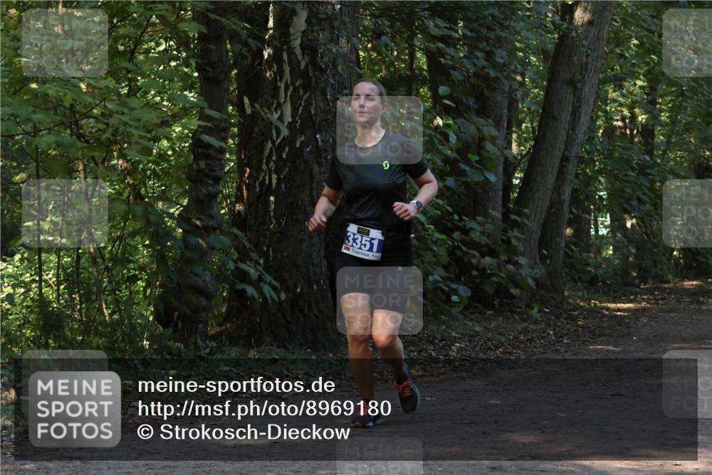 28.09.2025 - 33. Volkslauf durch das schöne Alstertal Strokosch-Dieckow http://msf.ph/oto/8969180 28.09.2025 11:22:49 Laufen 3351 meine-sportfotos.de