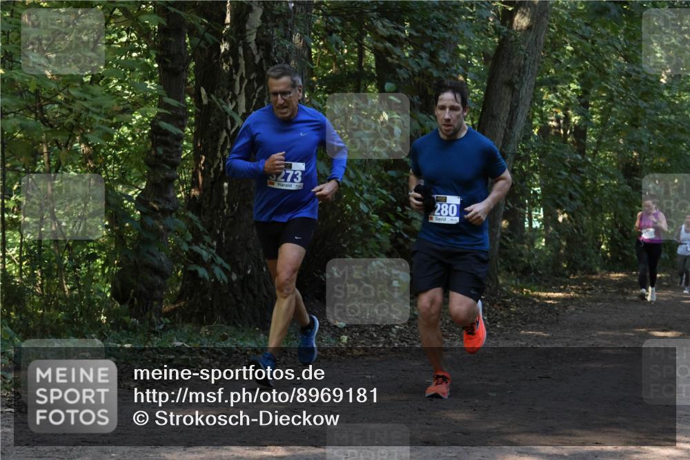 28.09.2025 - 33. Volkslauf durch das schöne Alstertal Strokosch-Dieckow http://msf.ph/oto/8969181 28.09.2025 11:23:00 Laufen 5273, 280 meine-sportfotos.de