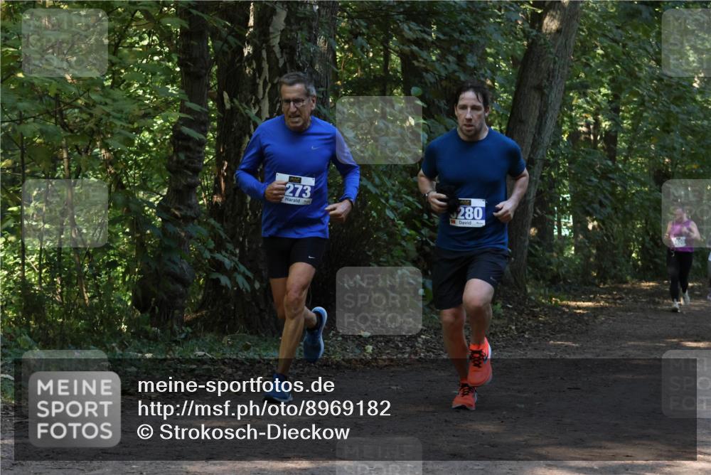 28.09.2025 - 33. Volkslauf durch das schöne Alstertal Strokosch-Dieckow http://msf.ph/oto/8969182 28.09.2025 11:23:00 Laufen 273, 280 meine-sportfotos.de