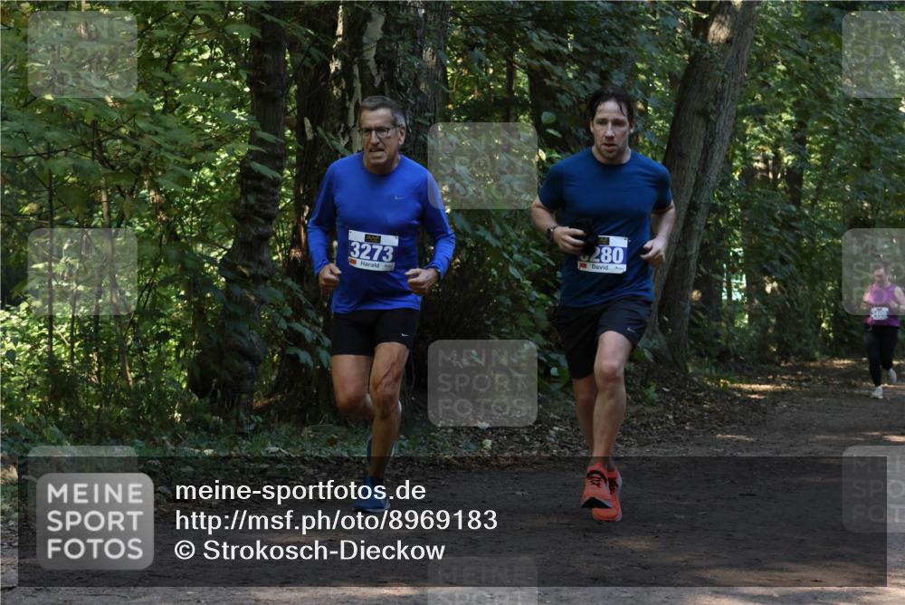 28.09.2025 - 33. Volkslauf durch das schöne Alstertal Strokosch-Dieckow http://msf.ph/oto/8969183 28.09.2025 11:23:00 Laufen 3273, 280, 408 meine-sportfotos.de