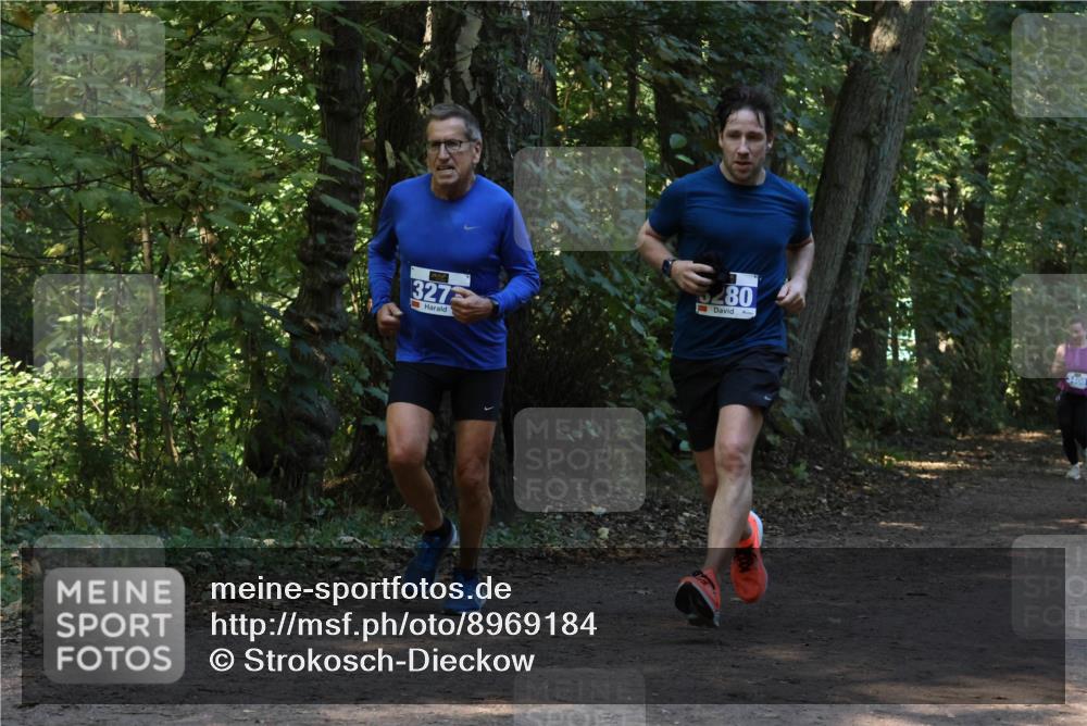 28.09.2025 - 33. Volkslauf durch das schöne Alstertal Strokosch-Dieckow http://msf.ph/oto/8969184 28.09.2025 11:23:00 Laufen 327, 280, 3408 meine-sportfotos.de