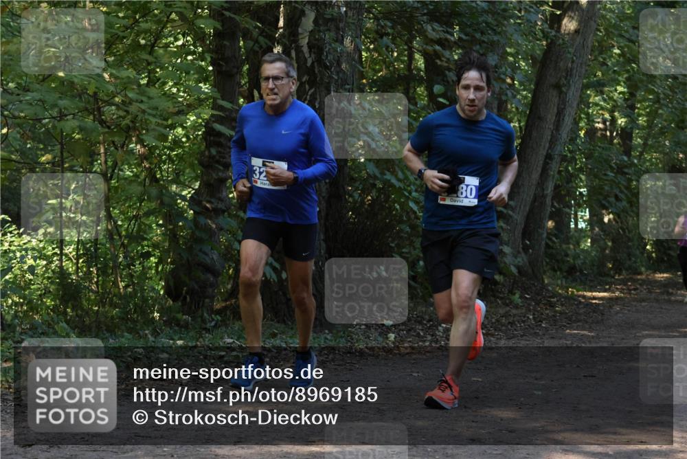 28.09.2025 - 33. Volkslauf durch das schöne Alstertal Strokosch-Dieckow http://msf.ph/oto/8969185 28.09.2025 11:23:00 Laufen 32, 80 meine-sportfotos.de
