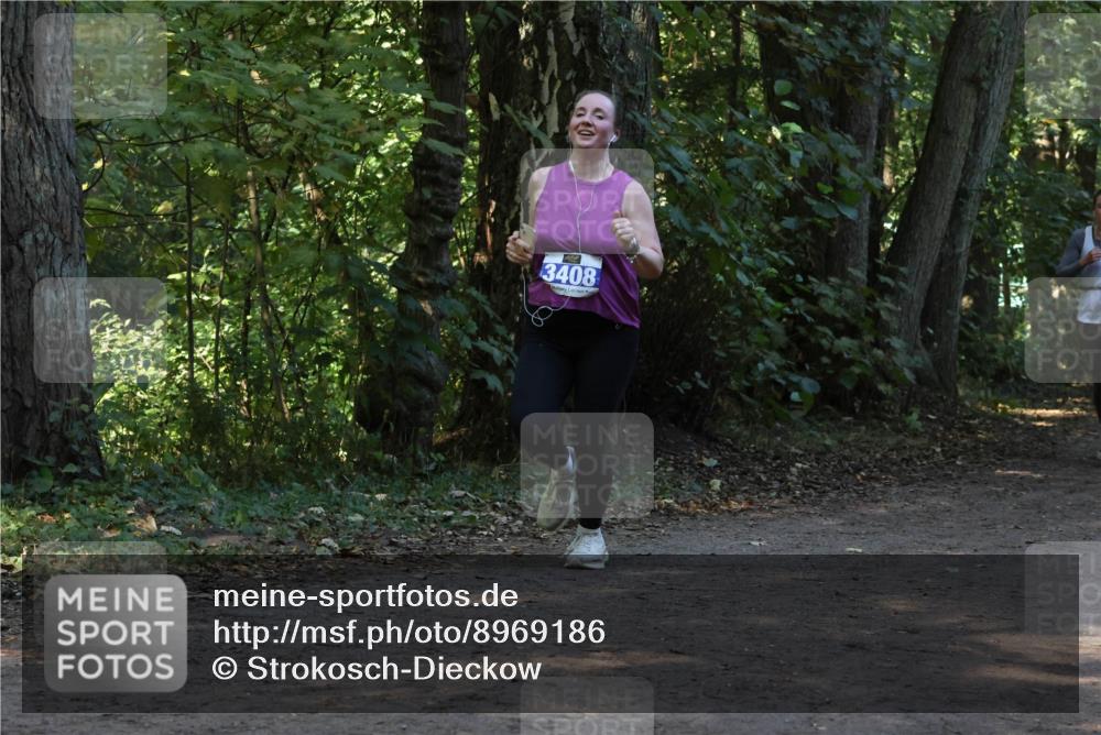 28.09.2025 - 33. Volkslauf durch das schöne Alstertal Strokosch-Dieckow http://msf.ph/oto/8969186 28.09.2025 11:23:07 Laufen 3408 meine-sportfotos.de