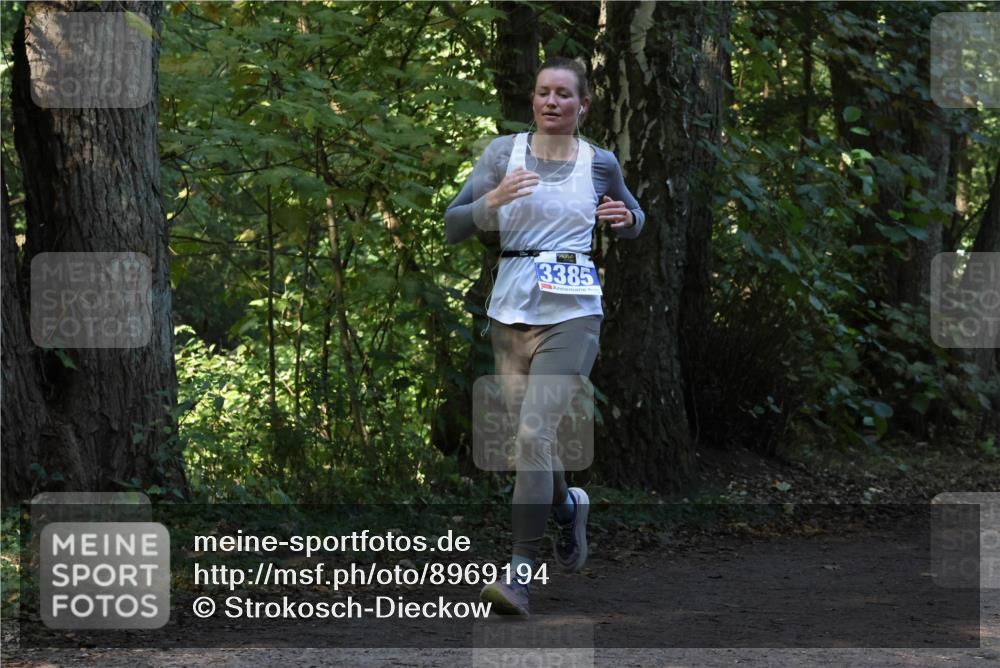 28.09.2025 - 33. Volkslauf durch das schöne Alstertal Strokosch-Dieckow http://msf.ph/oto/8969194 28.09.2025 11:23:11 Laufen 3385 meine-sportfotos.de