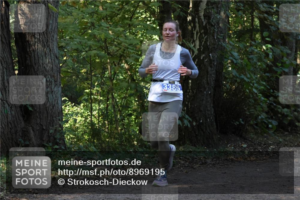 28.09.2025 - 33. Volkslauf durch das schöne Alstertal Strokosch-Dieckow http://msf.ph/oto/8969195 28.09.2025 11:23:11 Laufen 3385 meine-sportfotos.de