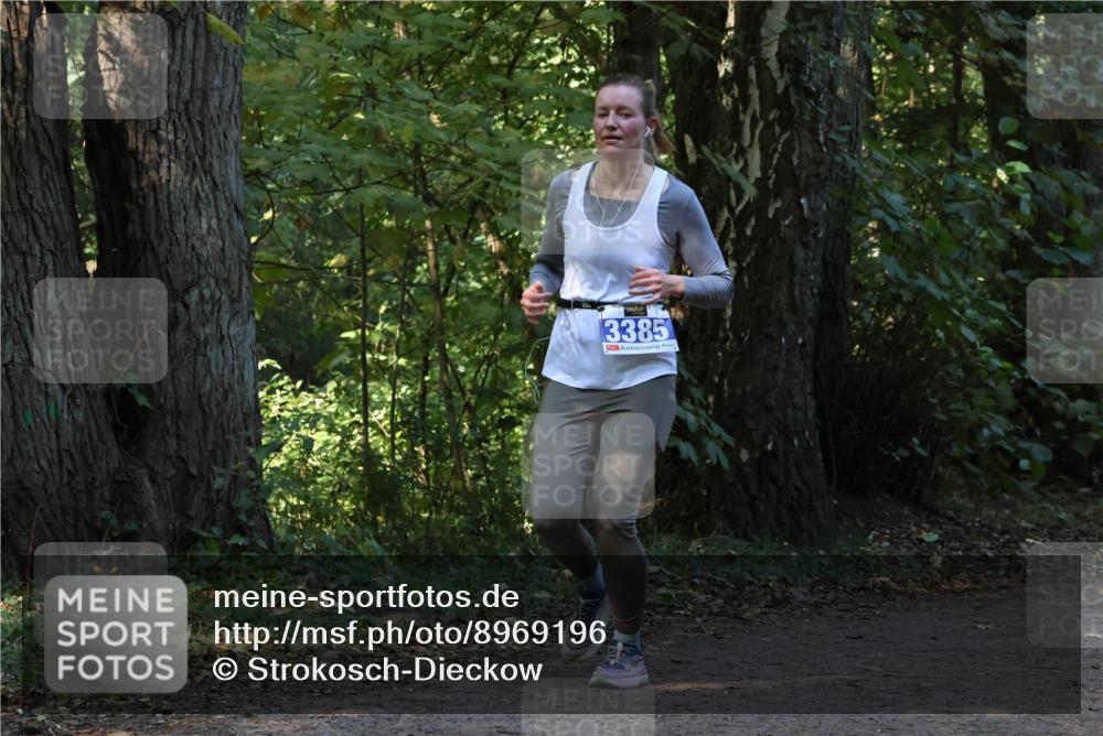 28.09.2025 - 33. Volkslauf durch das schöne Alstertal Strokosch-Dieckow http://msf.ph/oto/8969196 28.09.2025 11:23:11 Laufen 3385 meine-sportfotos.de