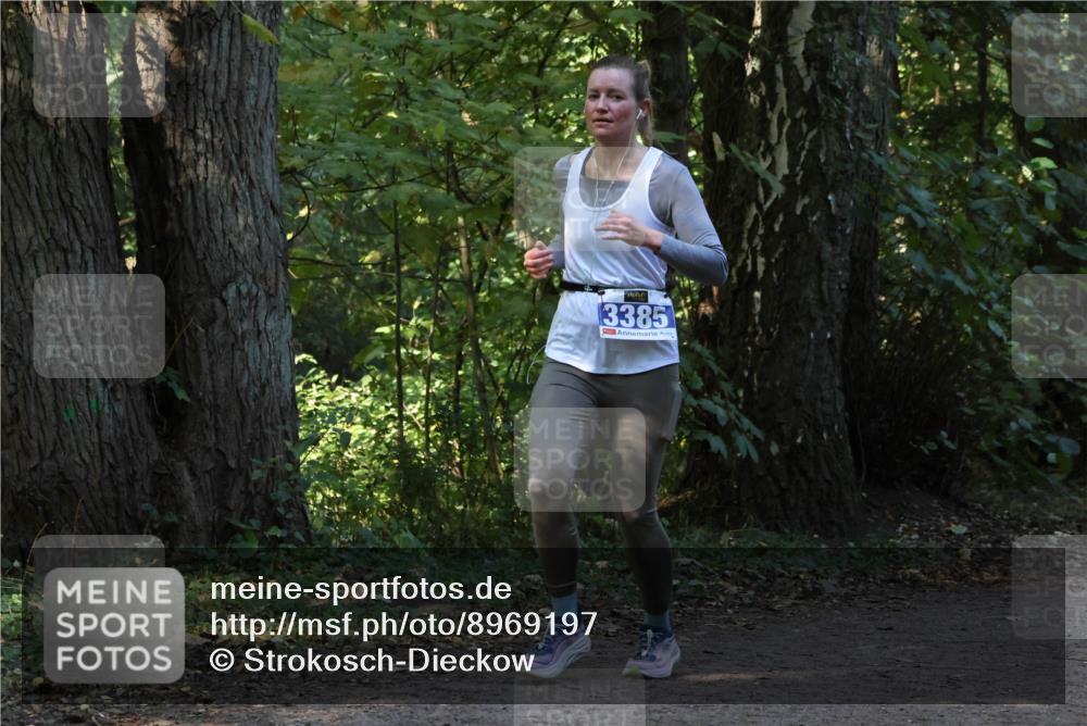 28.09.2025 - 33. Volkslauf durch das schöne Alstertal Strokosch-Dieckow http://msf.ph/oto/8969197 28.09.2025 11:23:11 Laufen 3385 meine-sportfotos.de